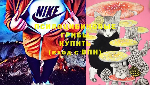 скорость Алексин