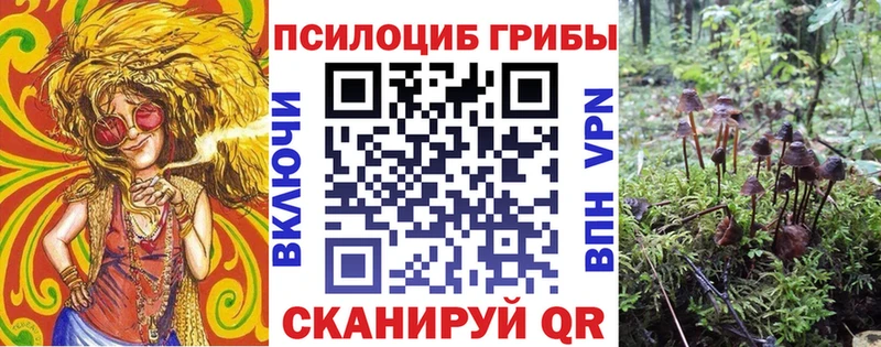 Псилоцибиновые грибы Psilocybine cubensis  blacksprut tor  Белореченск  продажа наркотиков 